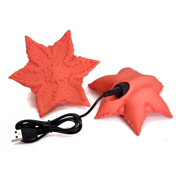 Starsi Vibrator